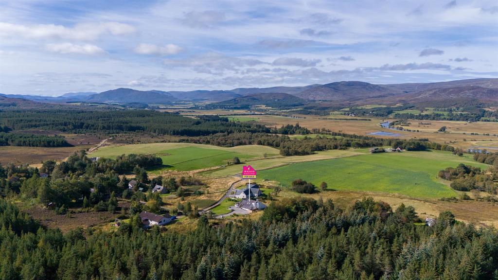 High Aerial View