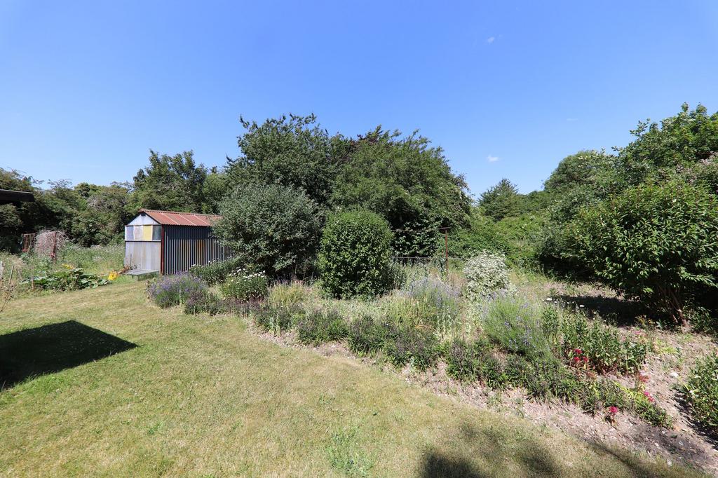 Garden (3)