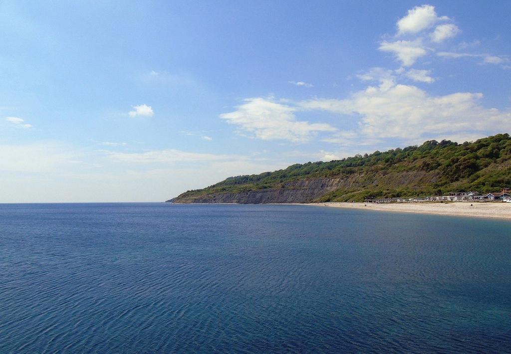 Local Coastline