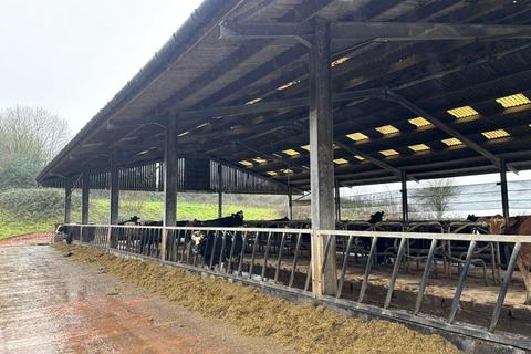 Smallholding to rent - Between Cullompton and Bradninch, Devon, EX5