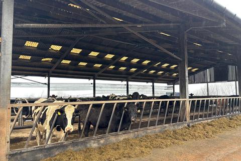 Smallholding to rent, Between Cullompton and Bradninch, Devon, EX5