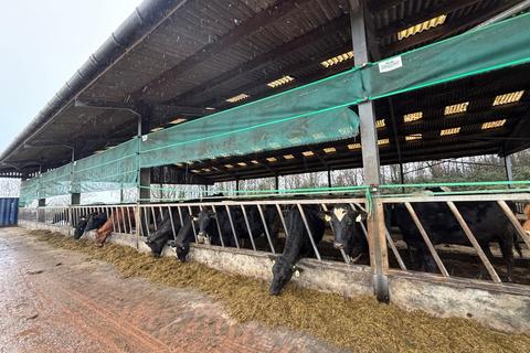 Smallholding to rent, Between Cullompton and Bradninch, Devon, EX5