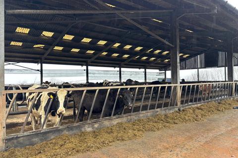 Smallholding to rent, Between Cullompton and Bradninch, Devon, EX5