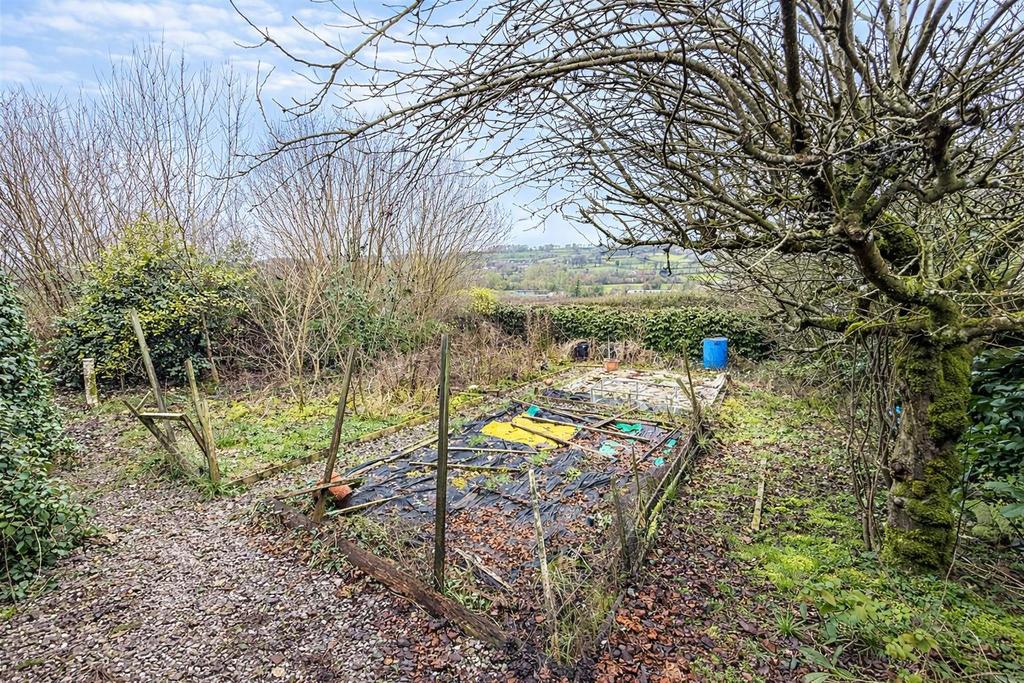 Former Vegetable Garden