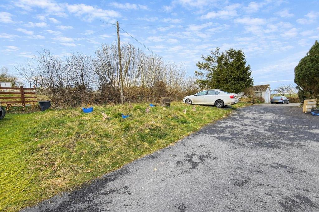Grassy patch and rural driveway scene.png