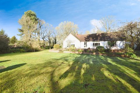 4 bedroom detached bungalow for sale, Colam Lane, Little Baddow, Chelmsford