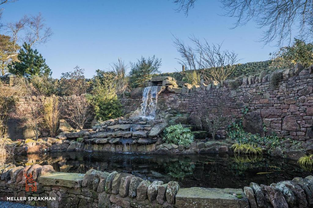 Pond and Waterfall