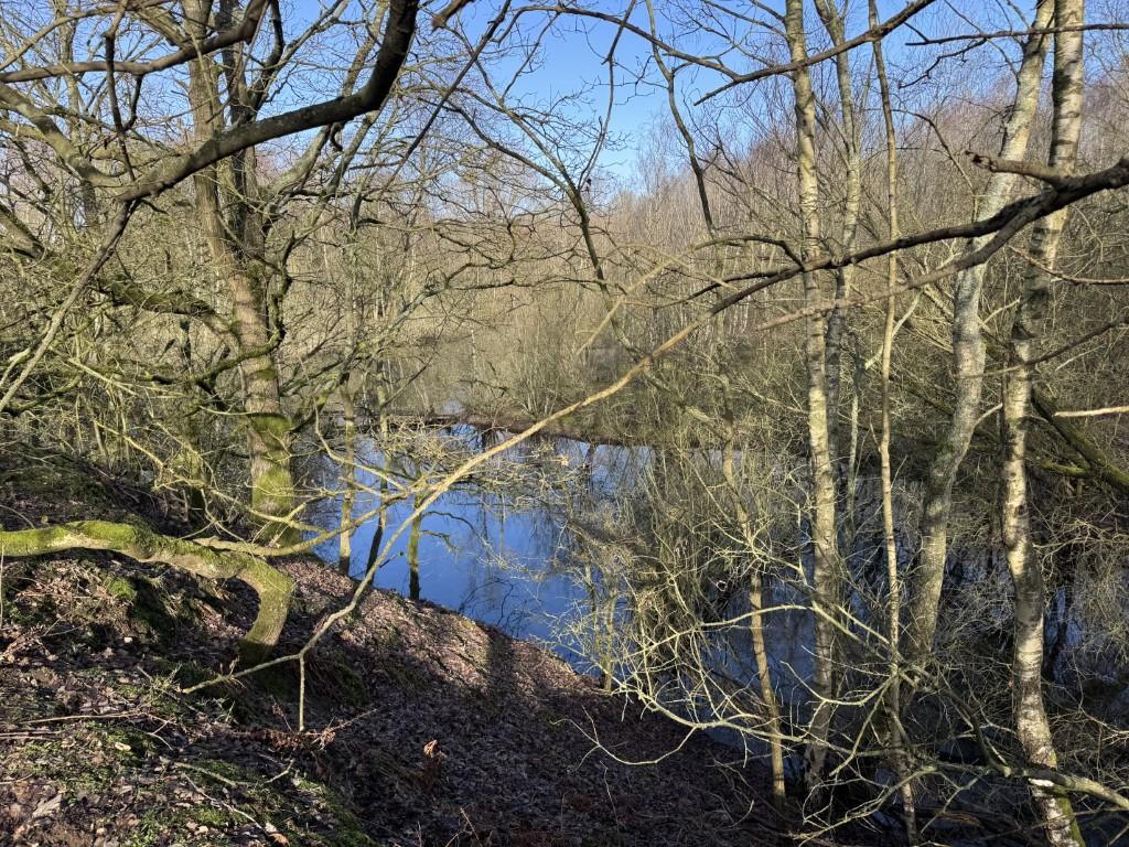 5  Medium  T202602180907.jpg