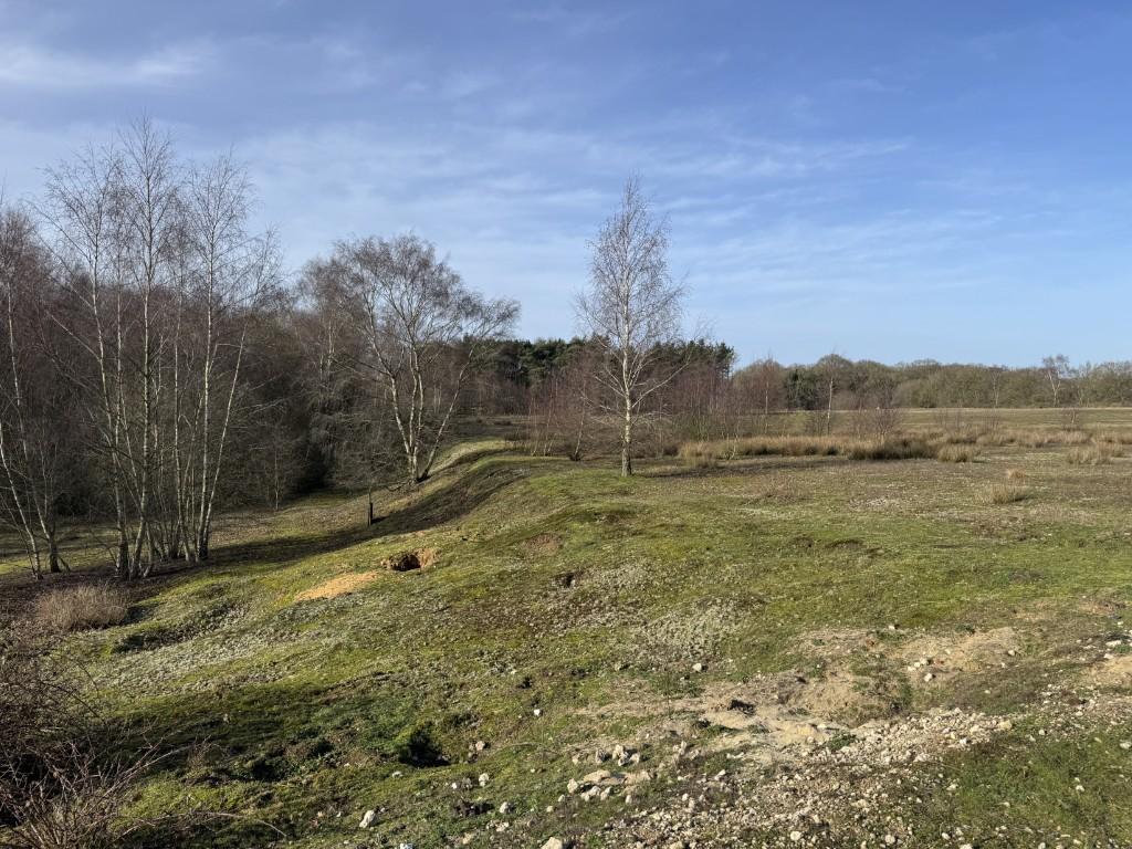 20260217 110057530 IOS  Medium  T202602180909.jpg