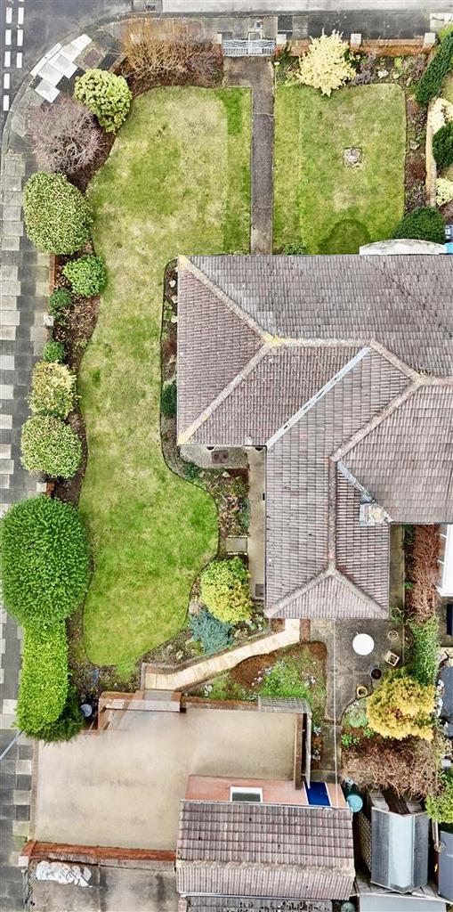 Plot view