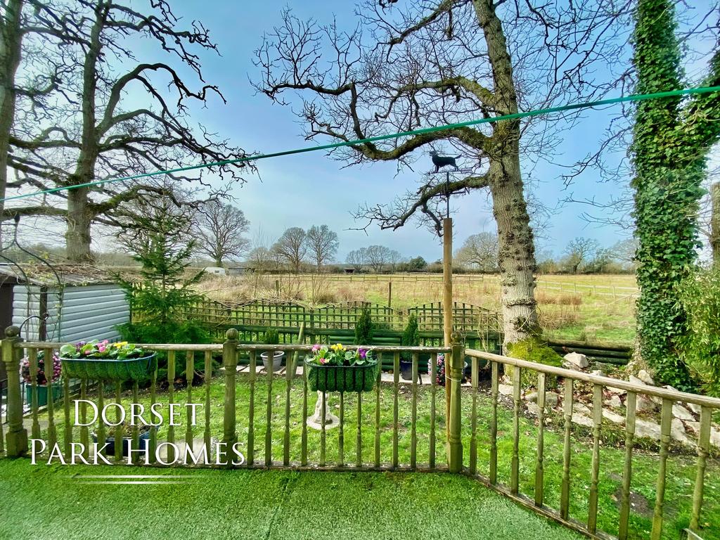 Field View