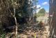 Holdich Street, Peterborough photo 3