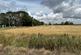 Additional image 3 of Northborough Road, Milking Nook, Peterborough