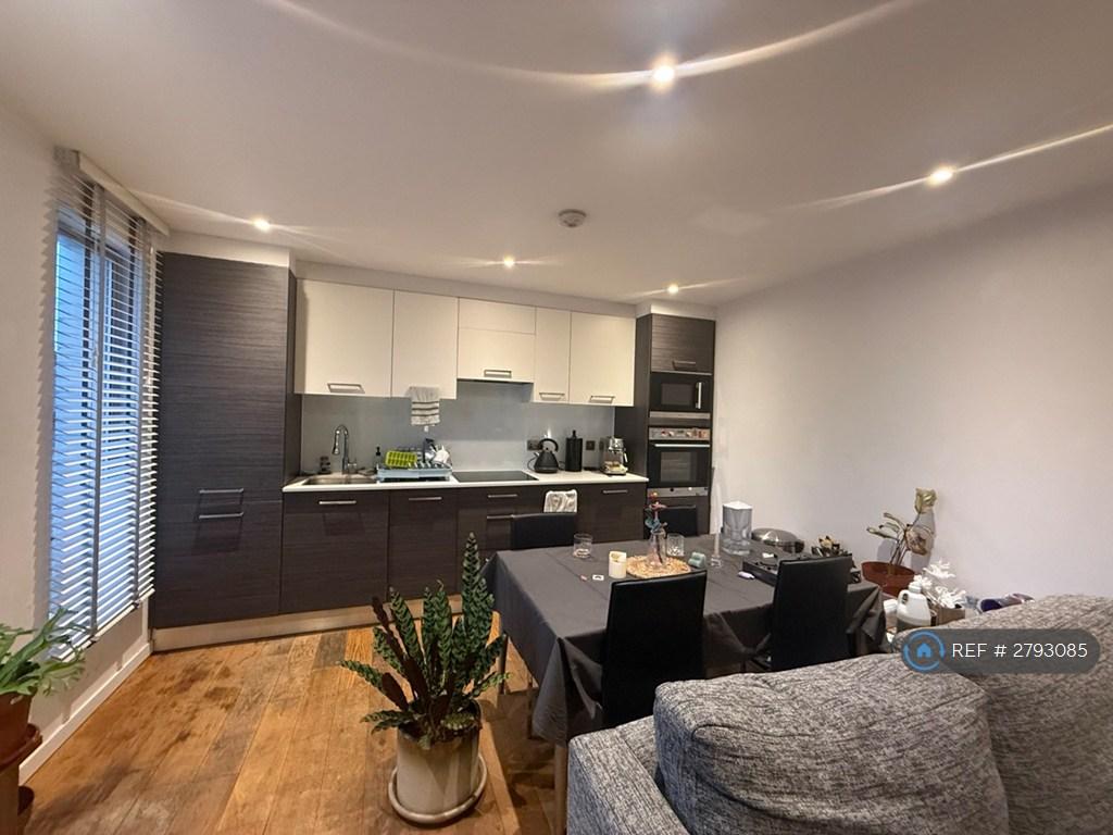 Kitchen / Living Area