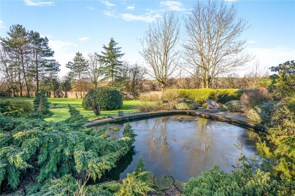Front Pond