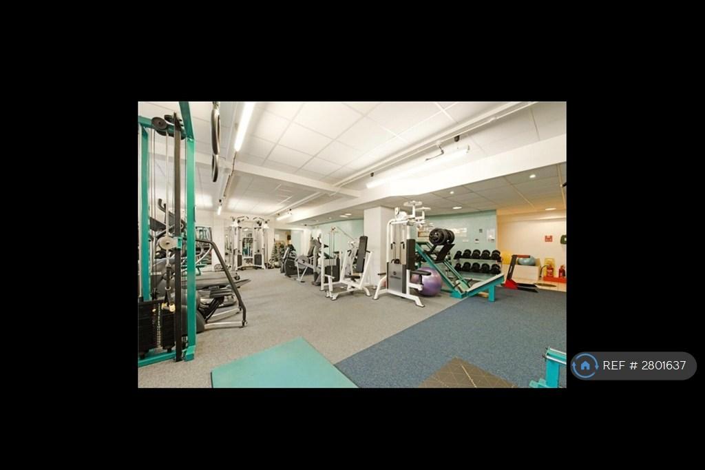 Building Gym