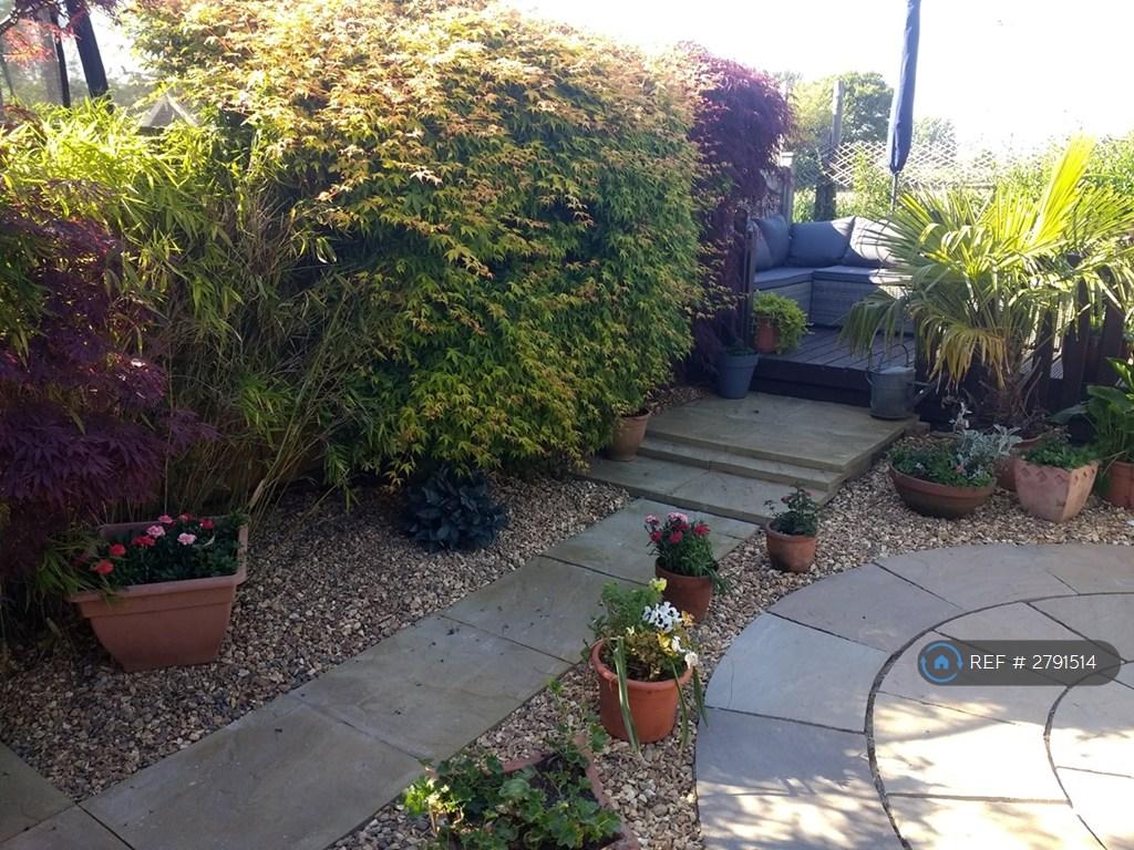 Back Garden