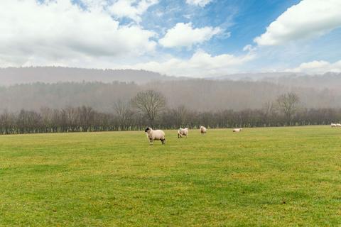 Farm land for sale, Lot 7, Farm Land Between Walton and Nostell Wakefield, WF4 2EA