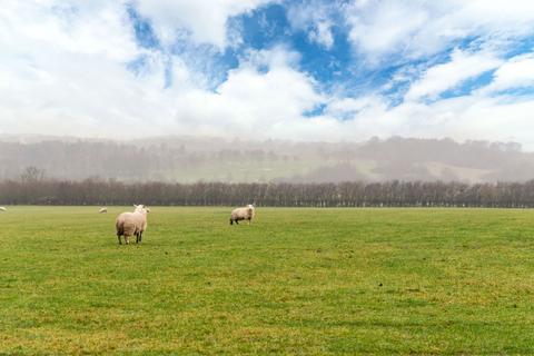 Farm land for sale, Lot 7, Farm Land Between Walton and Nostell Wakefield, WF4 2EA