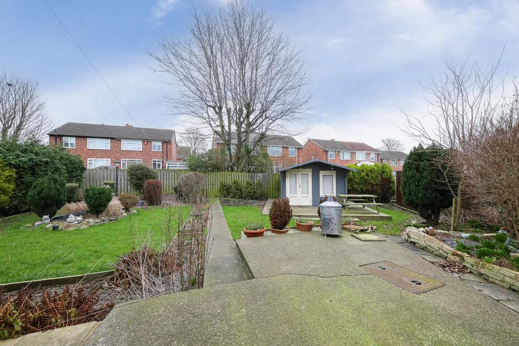 Rear garden.jpg