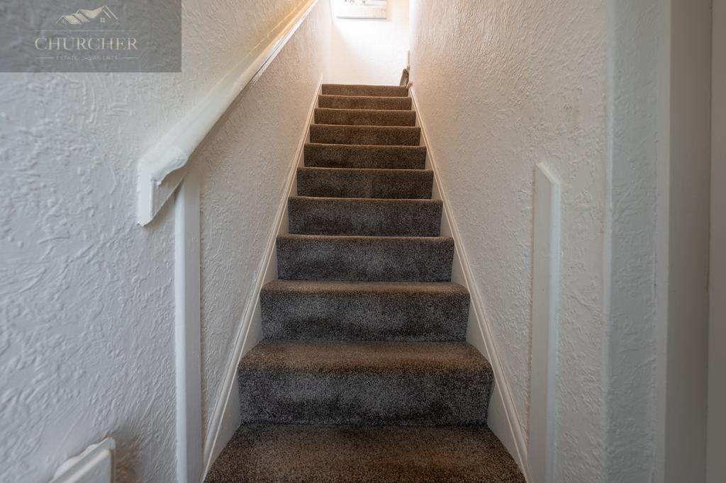 75yew Tree-07