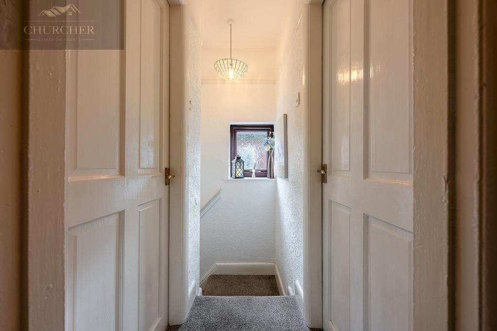 75yew Tree-04