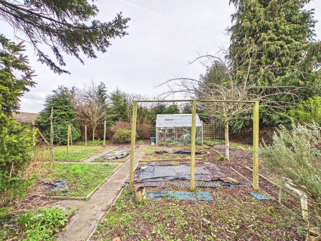 Rear garden