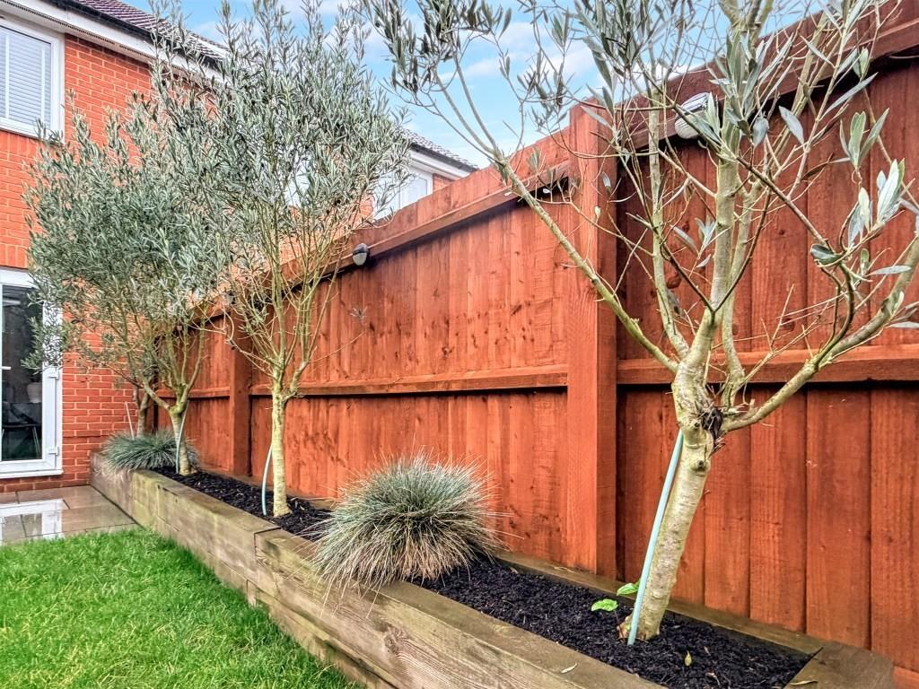 Garden3