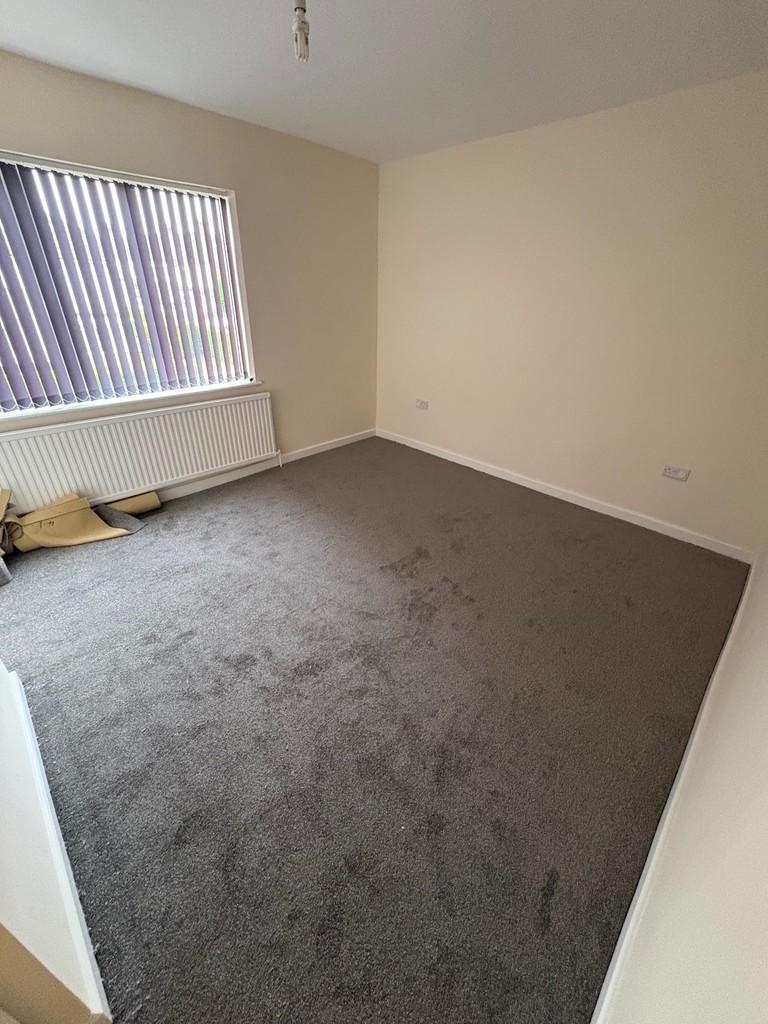 Pic 16