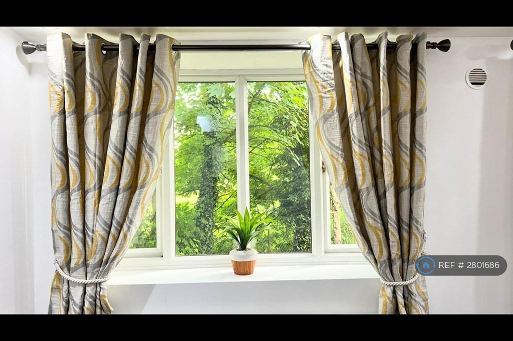 Window