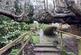 Additional image 17 of Little Aston Lane, Little Aston, Sutton Coldfield, B74 3UA