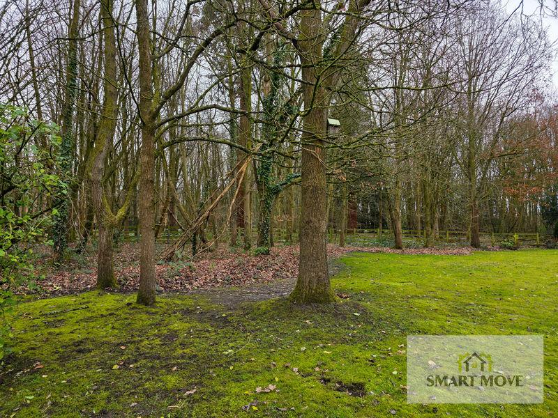 Maintained Woodland