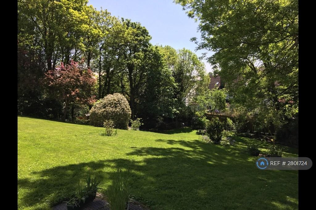 Communal Gardens