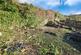 Additional image 11 of Ystrad Road, Pentre