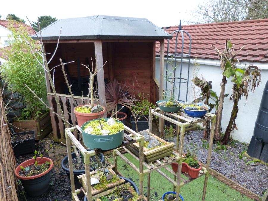 Gazebo