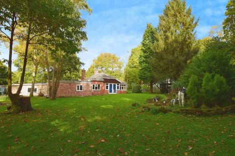 undefined, Sutton Spring Wood, Temple Normanton, Chesterfield