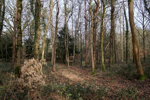 Woodland for sale, Brockley Combe Road, Bristol BS48