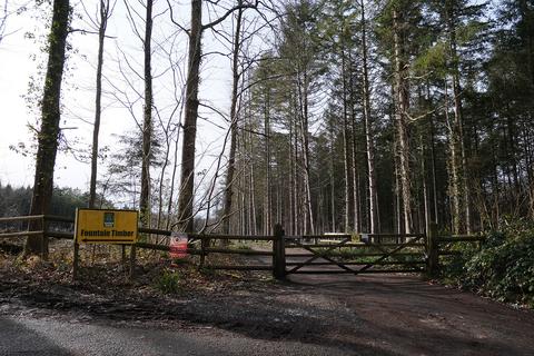 Woodland for sale, Brockley Combe Road, Bristol BS48