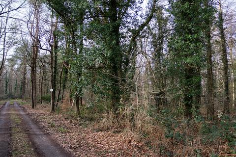 Woodland for sale, Brockley Combe Road, Bristol BS48