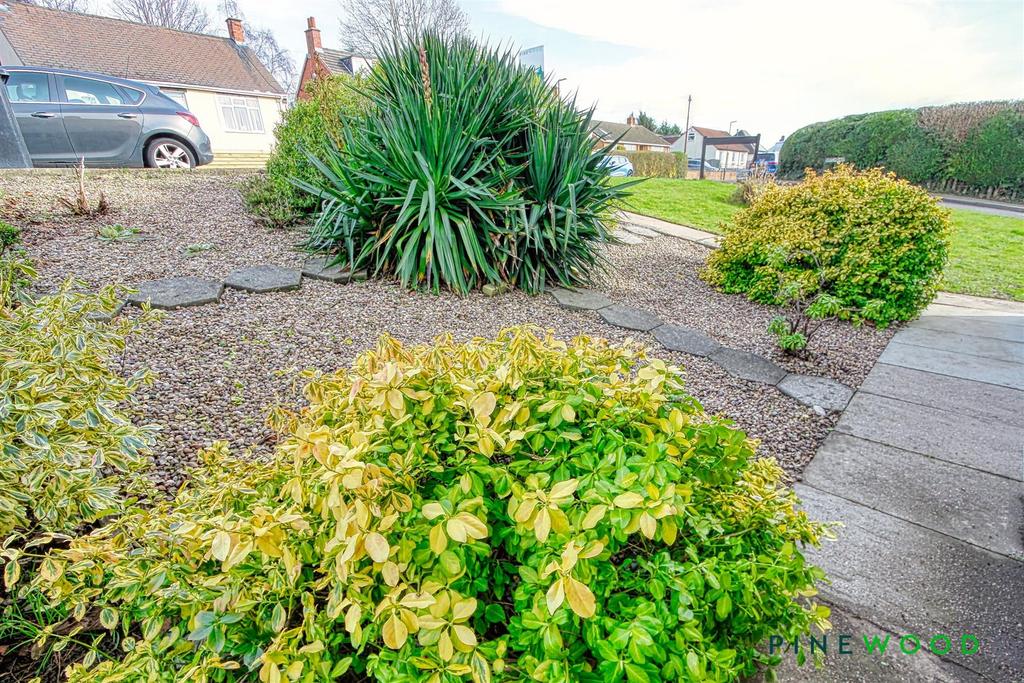 Front  garden