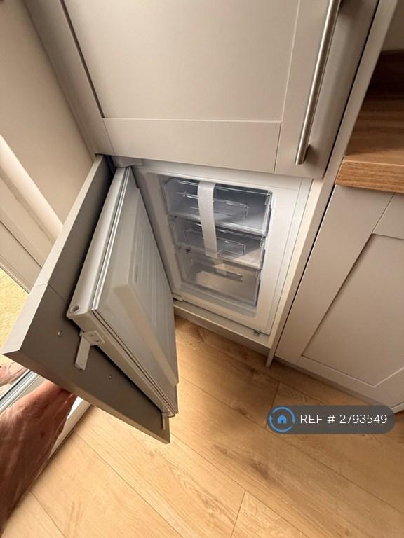 New Freezer