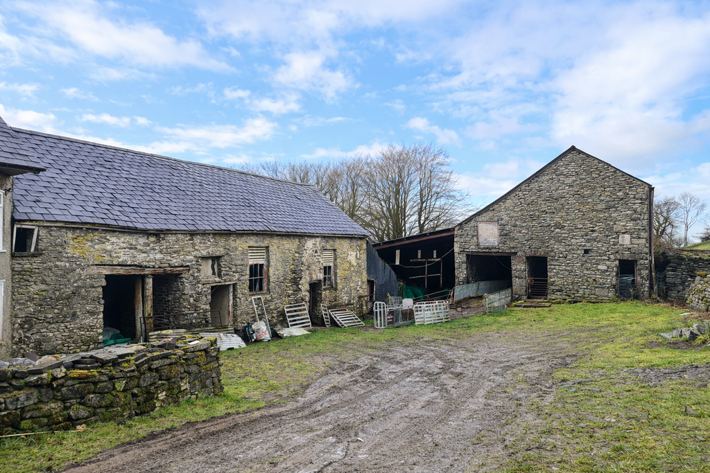 The yard and setting