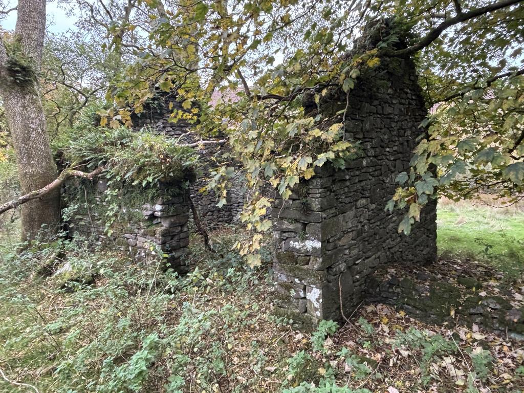 Cae garw ruin 2