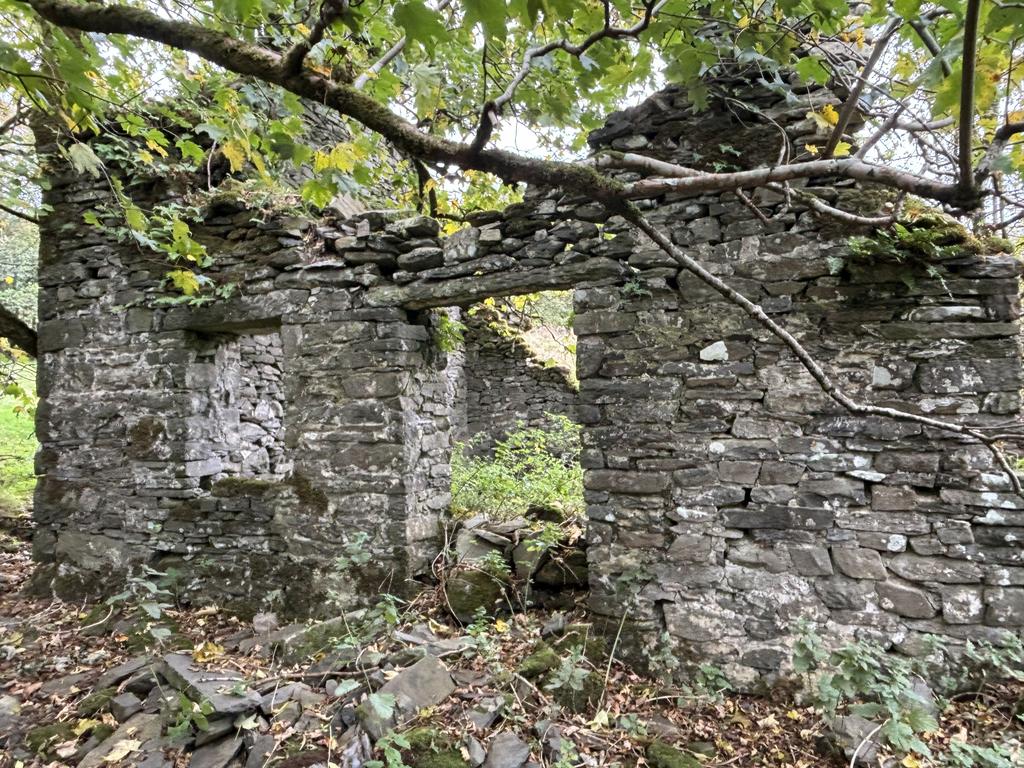 Cae garw ruin 2