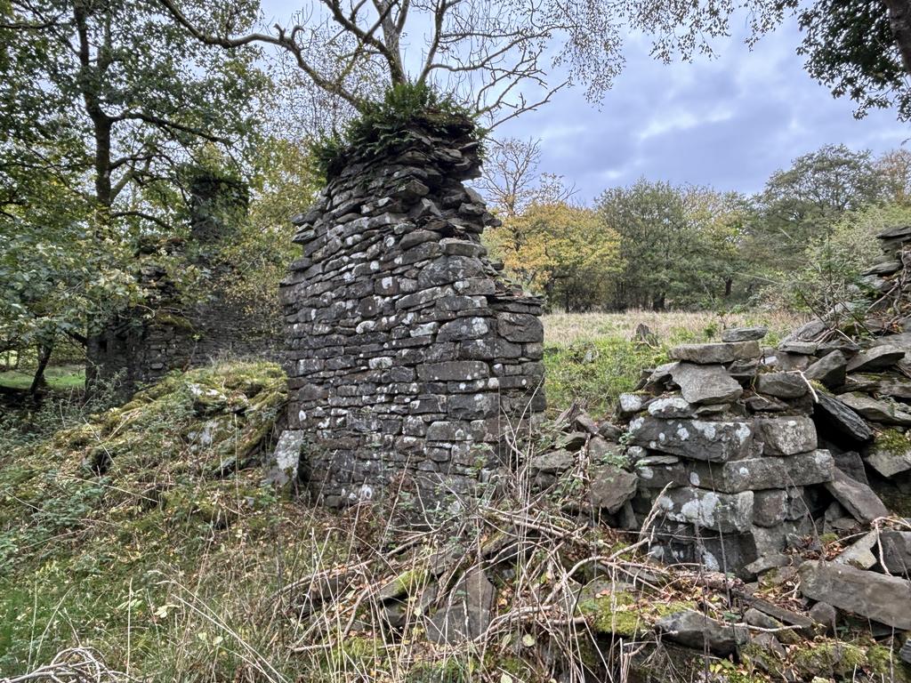 Cae garw ruin 2