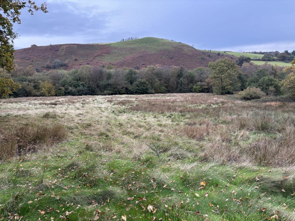 Land to south west