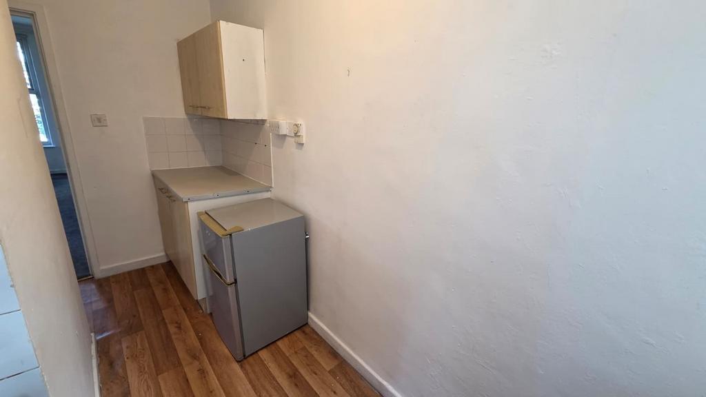 Compact single-wall kitchen corridor with lamin...