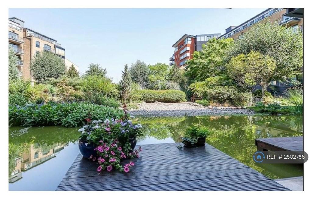 Lounge View To Garden