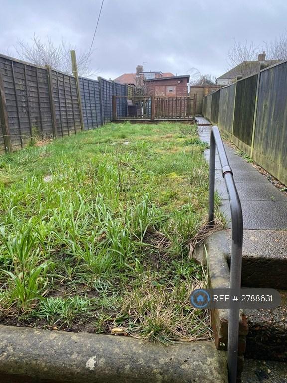 Back Garden