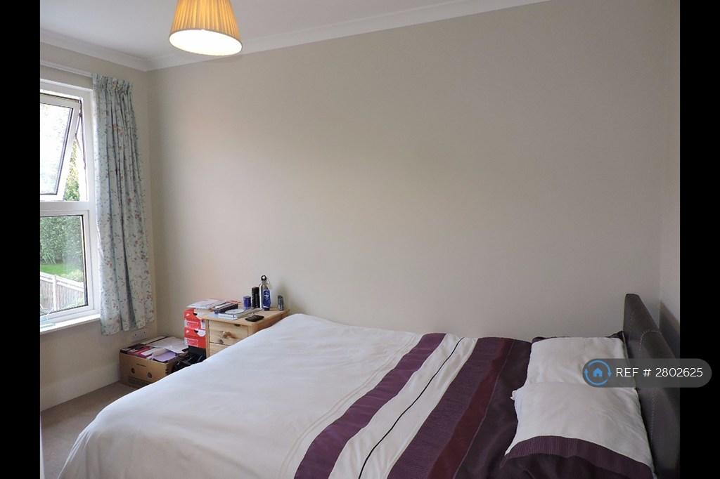 Back Bedroom
